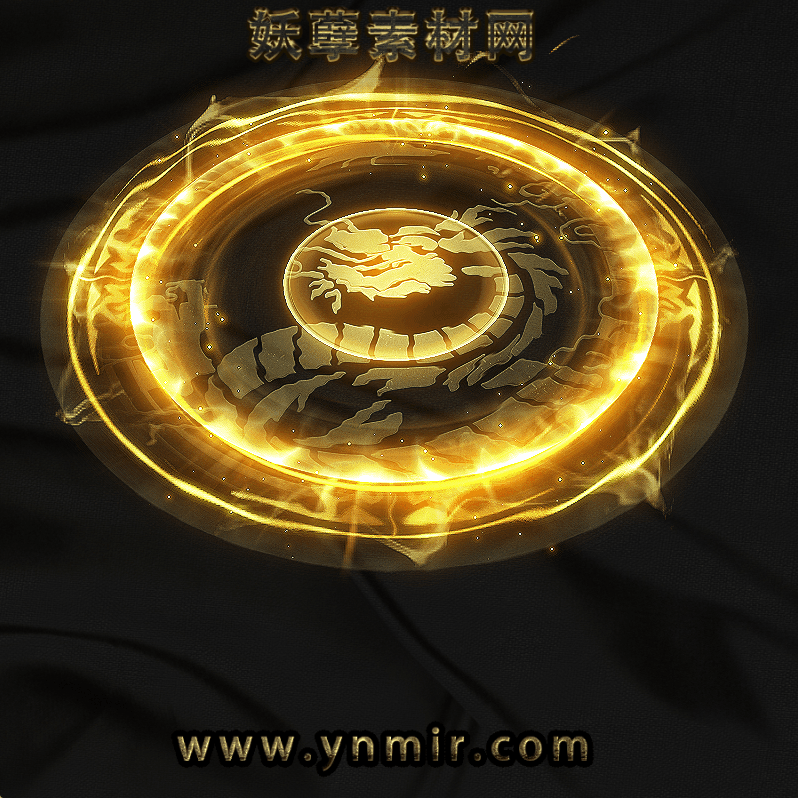特级魂环技能