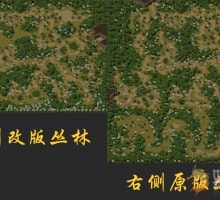 代售-迷雾丛林-丛林迷宫修改版