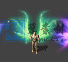 漂亮轻盈的五个特效翅膀